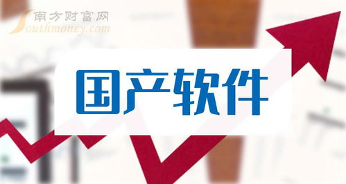 国产软件龙头及八家上市公司盘点 聚焦2024网络与信息安全软件开发